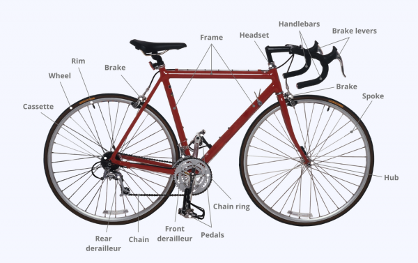 DIY Bicycle Servicing at Home: 11 Easy Steps [+Labelled Image]