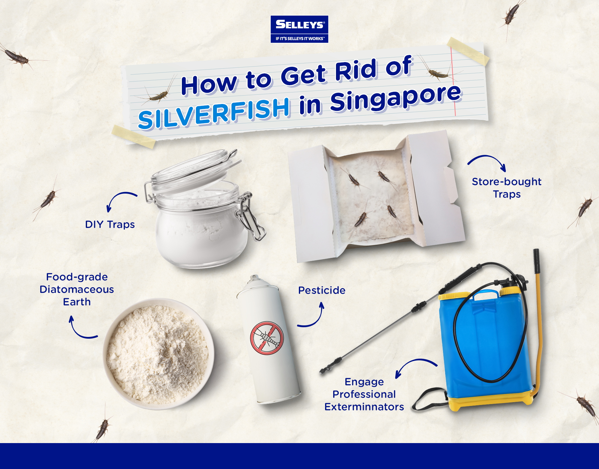 How To Get Rid Of Silverfish In Singapore - Infographic