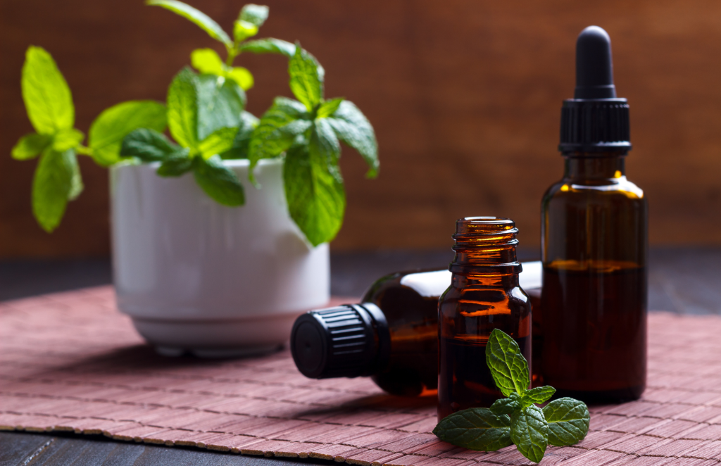 How To Get Rid Of Lizards At Home 4 Simple Methods [+ FAQs]