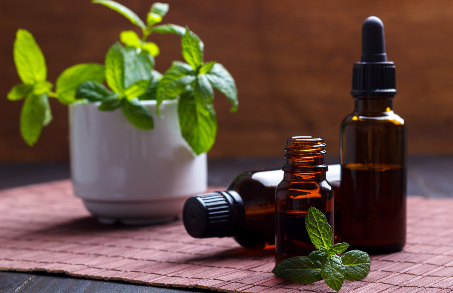 How To Get Rid Of Lizards At Home 4 Simple Methods [+ FAQs]